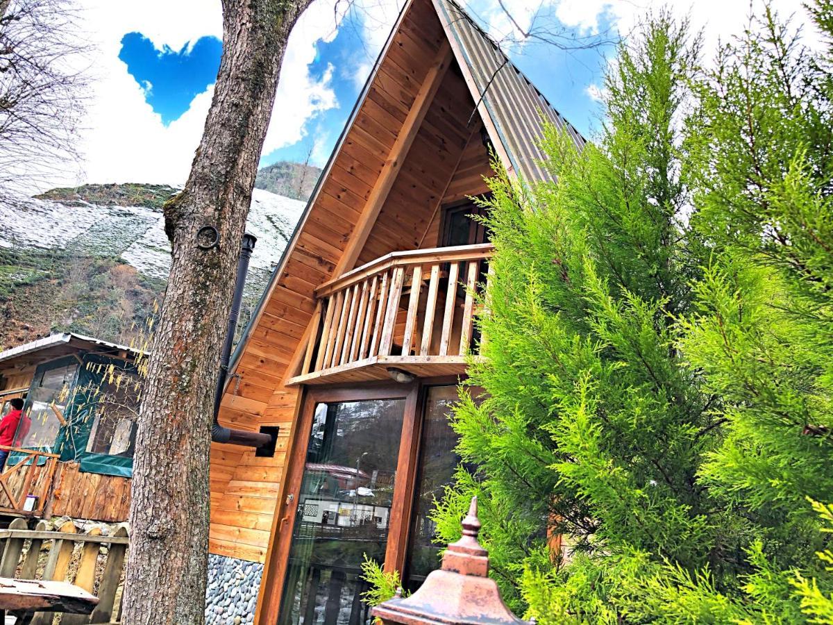Tabiat Bungalows Otel Çamlıhemşin Εξωτερικό φωτογραφία