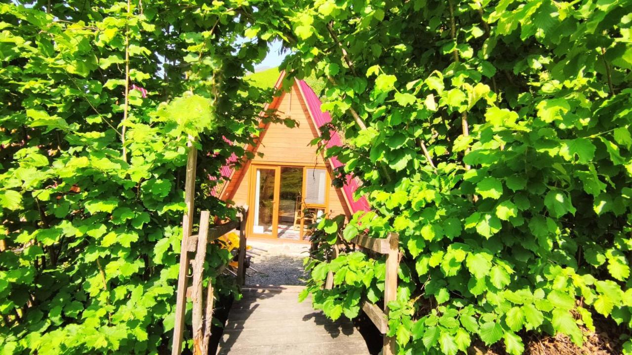 Tabiat Bungalows Otel Çamlıhemşin Εξωτερικό φωτογραφία