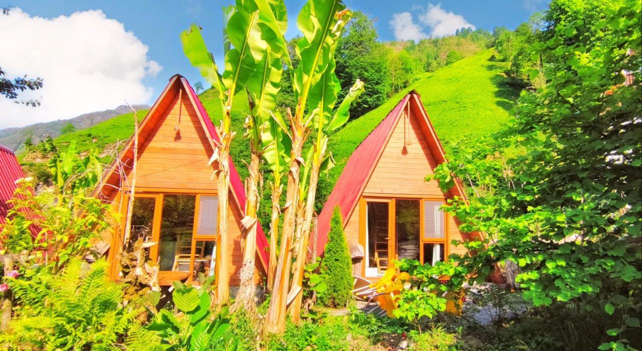 Tabiat Bungalows Otel Çamlıhemşin Εξωτερικό φωτογραφία
