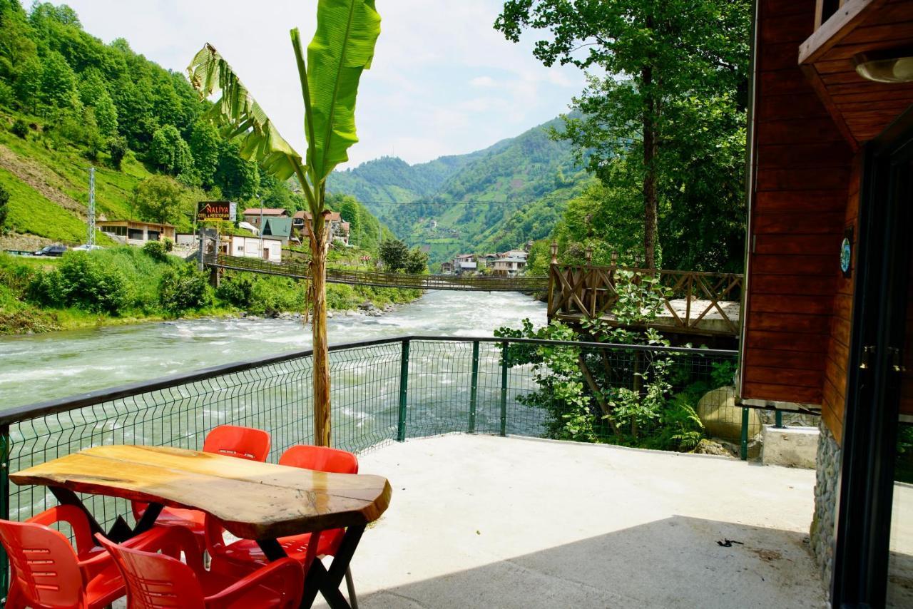 Tabiat Bungalows Otel Çamlıhemşin Εξωτερικό φωτογραφία