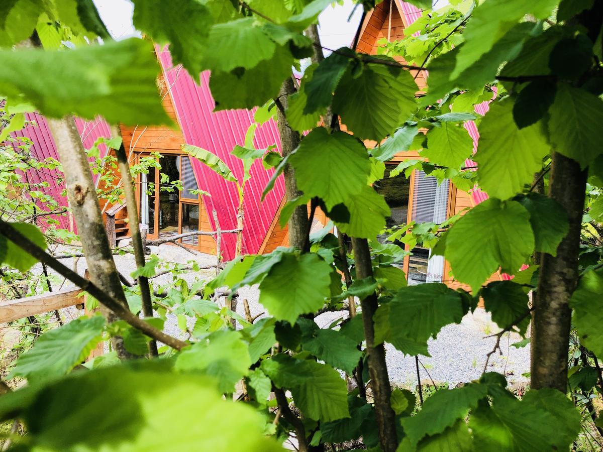 Tabiat Bungalows Otel Çamlıhemşin Εξωτερικό φωτογραφία